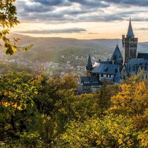 De cantus firmi in de Noord- en Midden-Duitse koraalbewerkingen